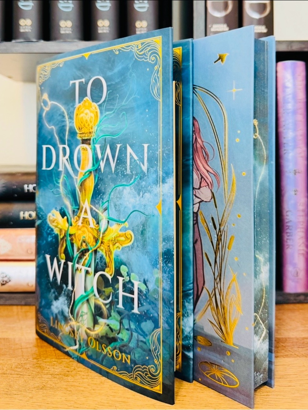 Fairyloot Exclusive Edition To Drown A Witch by Lindsey Olsson